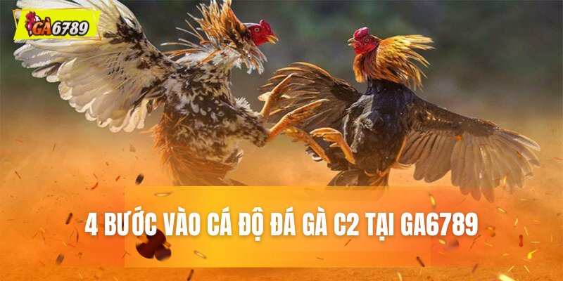 4 bước vào cá độ đá gà C2 tại GA6789