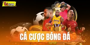 Cá Cược Bóng Đá