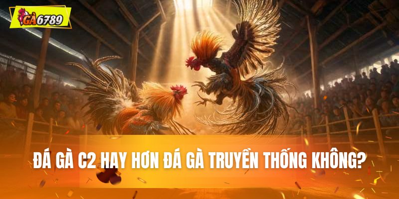 Đá gà C2 là gì? Hay hơn đá gà truyền thống không?