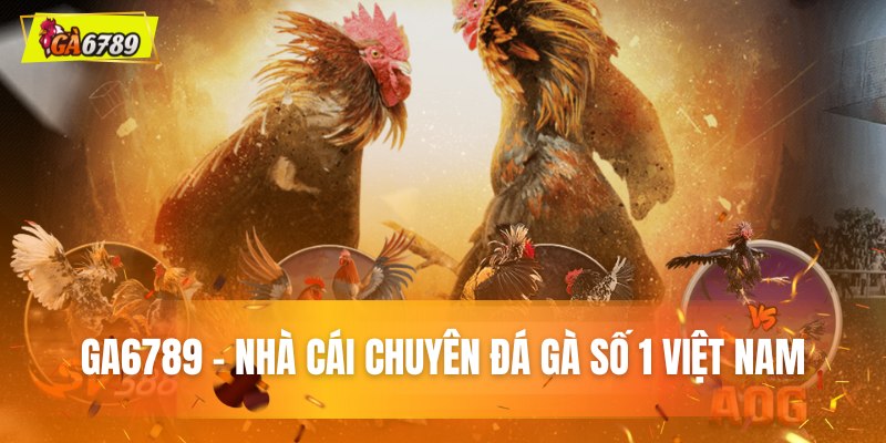 Tổng quan về thương hiệu GA6789 hàng đầu