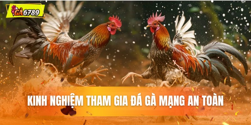 Bí quyết tham gia đá gà mạng an toàn