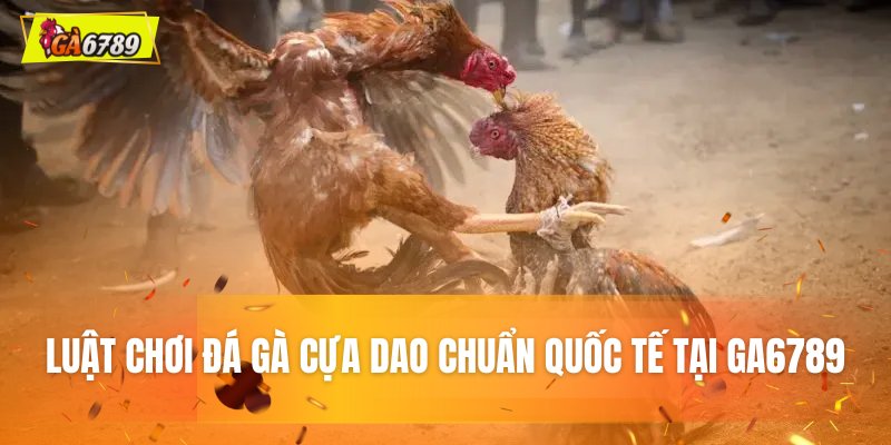 Luật chơi đá gà cựa dao chuẩn quốc tế tại GA6789