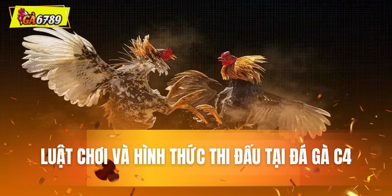 Luật chơi và hình thức thi đấu tại đá gà C4