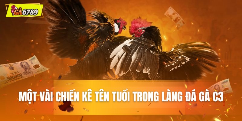 Một vài chiến kê tên tuổi trong làng đá gà C3