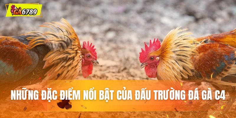 Những đặc điểm nổi bật của đấu trường đá gà C4