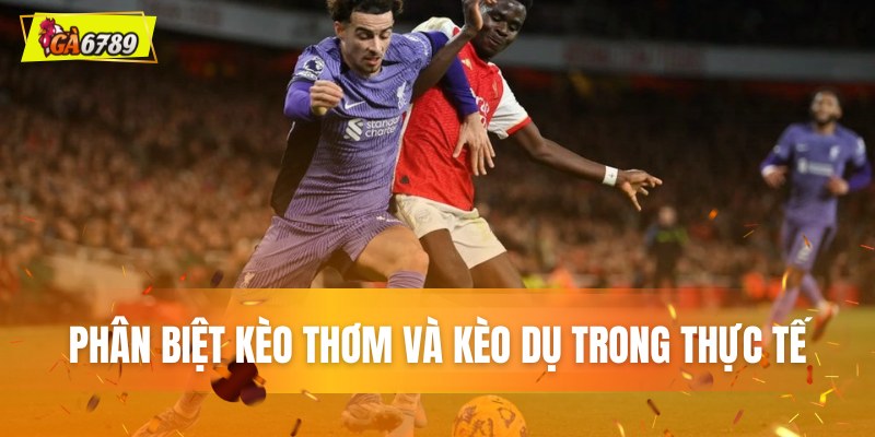 Phân biệt kèo thơm và kèo dụ trong thực tế