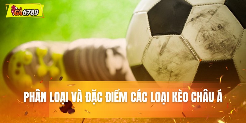 Phân loại và đặc điểm các loại kèo châu Á